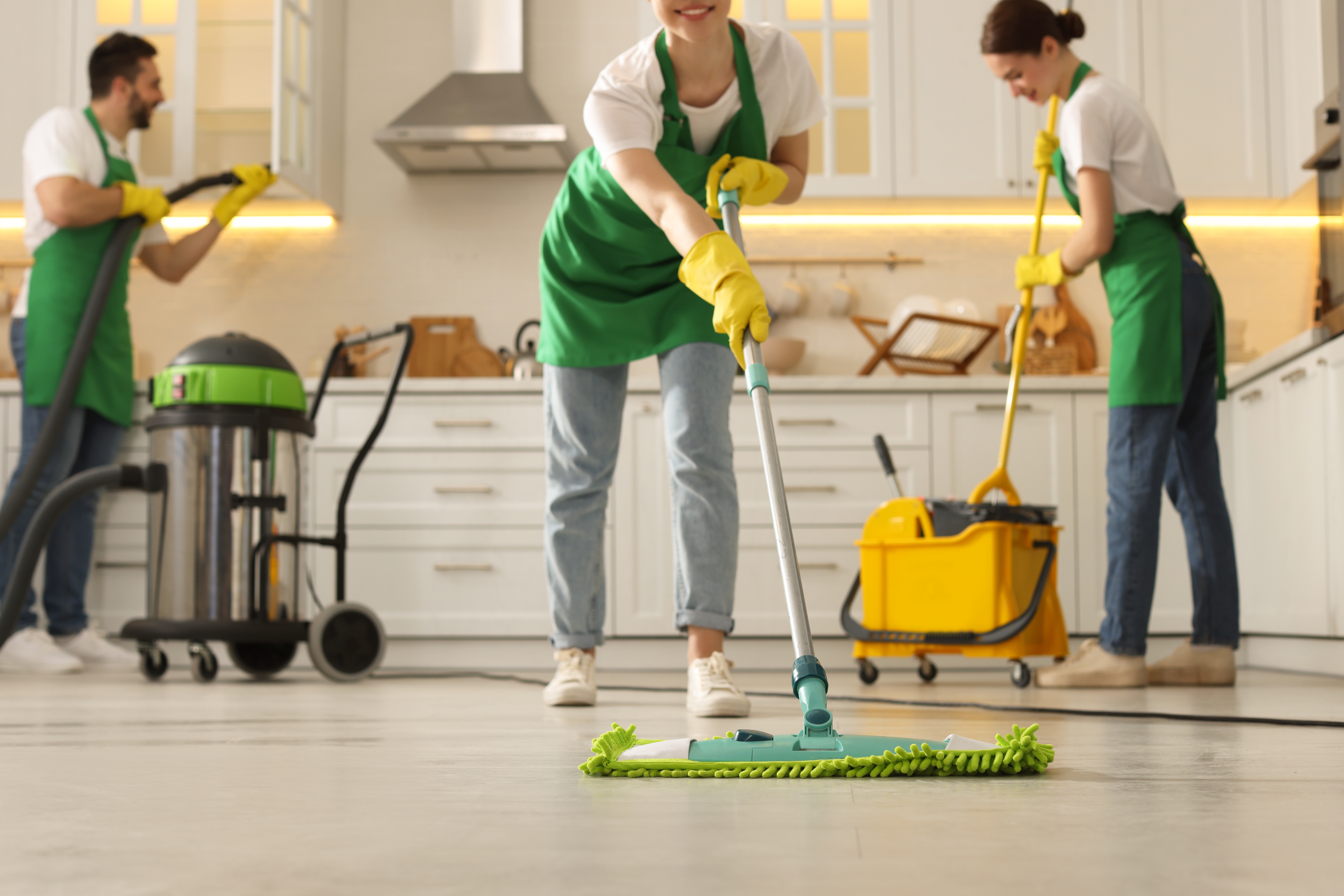 how much does green house cleaning cost in Chicago